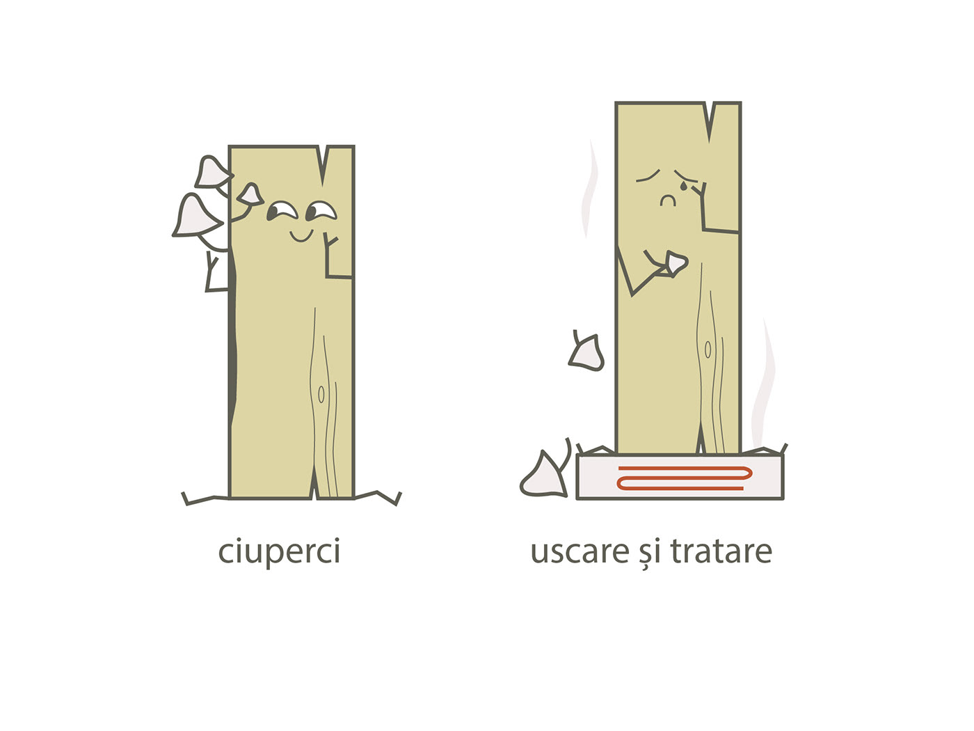 Scândurel character illustrating fungi, drying and treatment
