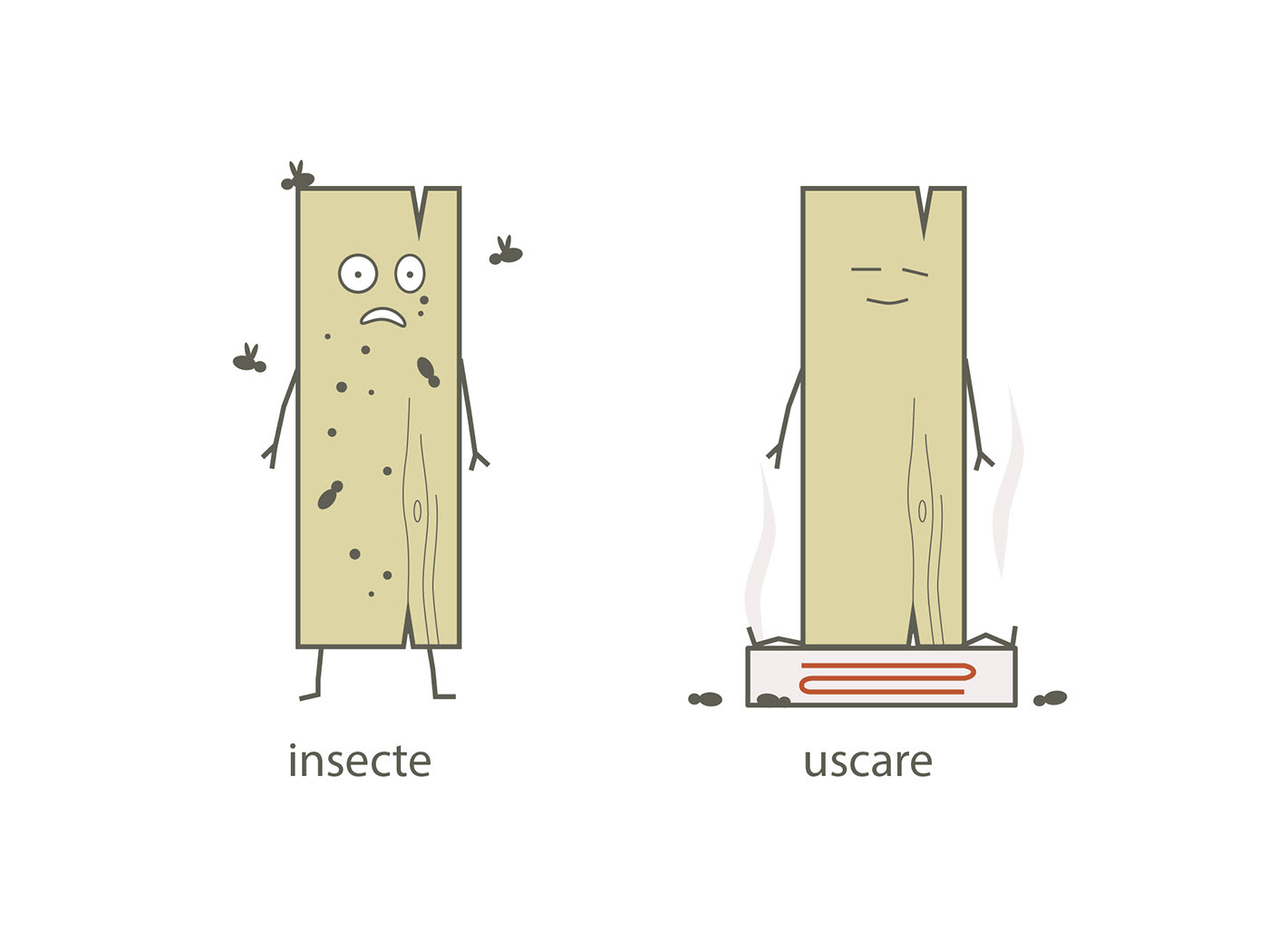 Scândurel character illustrating insect damage and drying